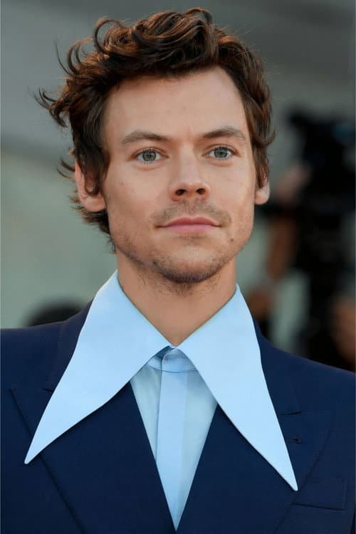 Harry Styles headshot