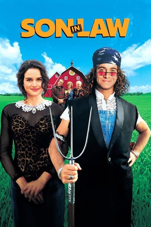 Son In Law poster